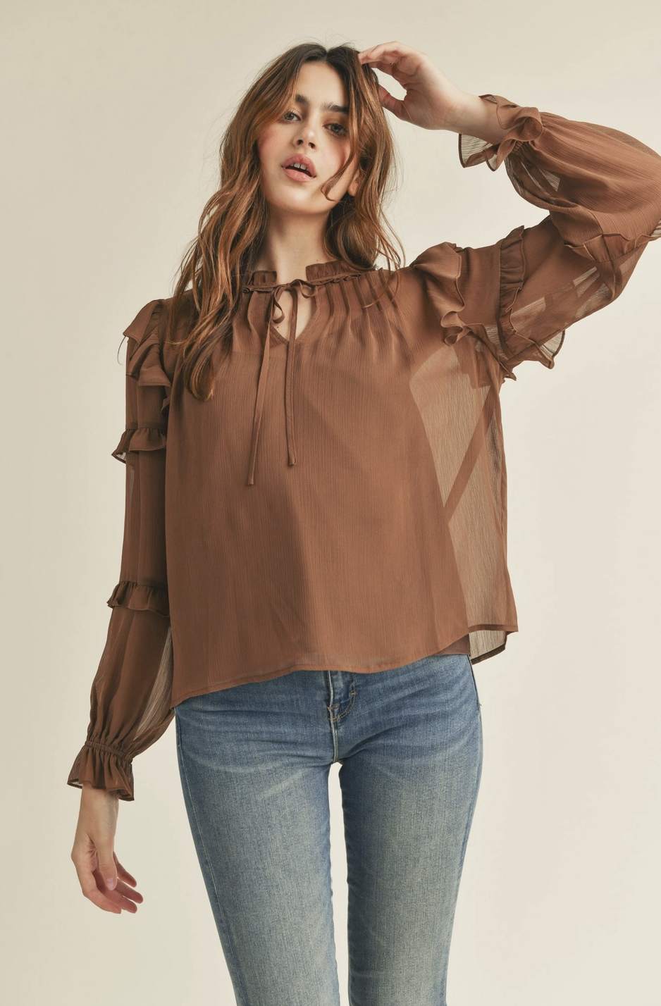 Sheer Long Sleeve Ruffled Blouse