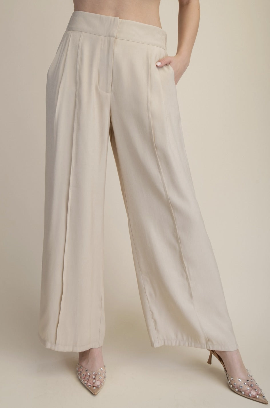 Wide Leg Pleated Elastic Back Pants