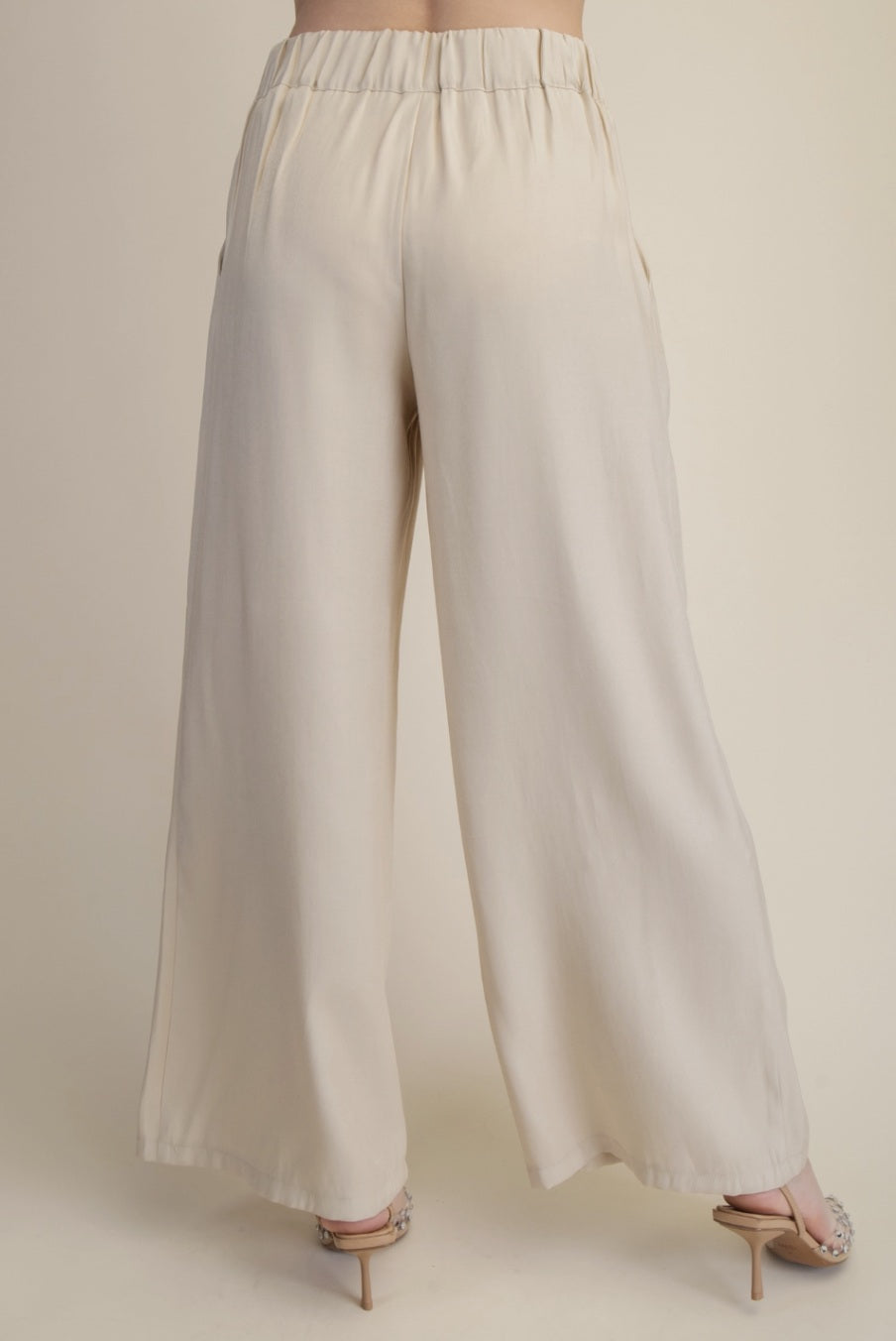 Wide Leg Pleated Elastic Back Pants